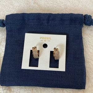 Fossil crystal hoop earrings
